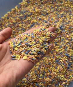 SENSOORNE RIIS (MIX)