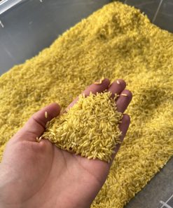 SENSOORNE RIIS (KOLLANE)