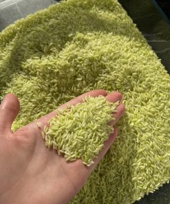 SENSOORNE RIIS (LAIMIROHELINE)