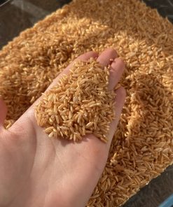 SENSOORNE RIIS (KULDNE)