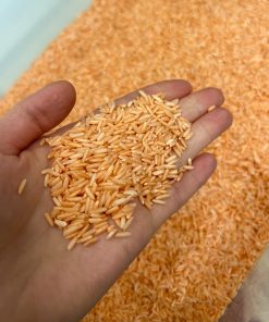 SENSOORNE RIIS (ORANŽ)