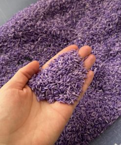 SENSOORNE RIIS (LILLA)