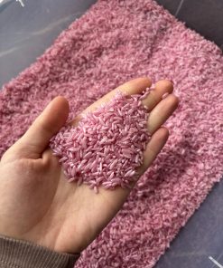 SENSOORNE RIIS (HELEROOSA)